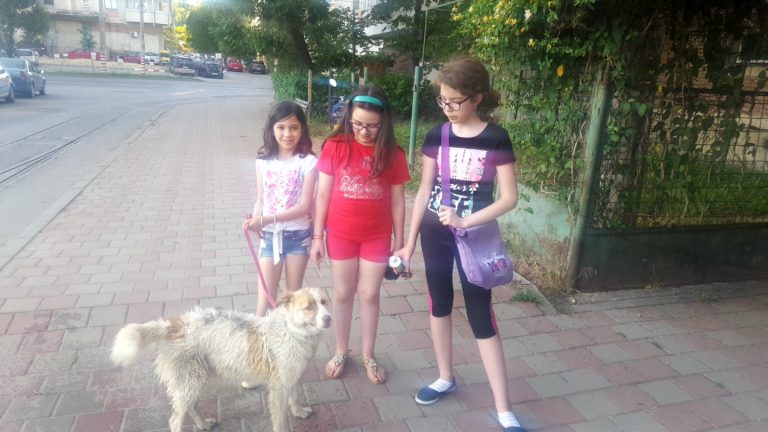Gest REMARCABIL făcut de 3 fete din Iaşi pentru 3 câini vagabonzi
