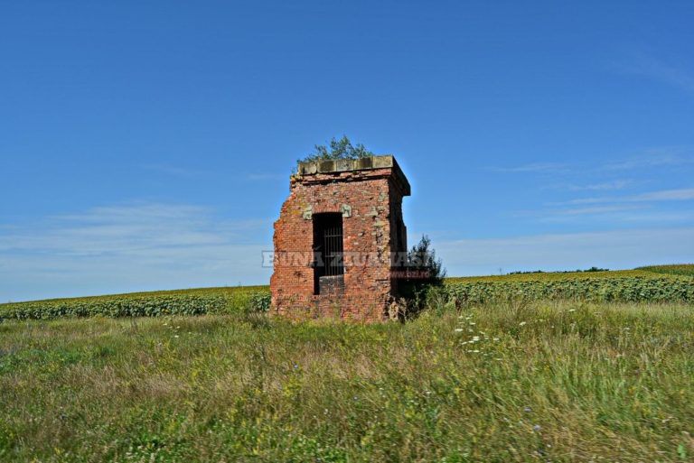 In apropierea municipiului Iasi, zona intesata de mine de razboi