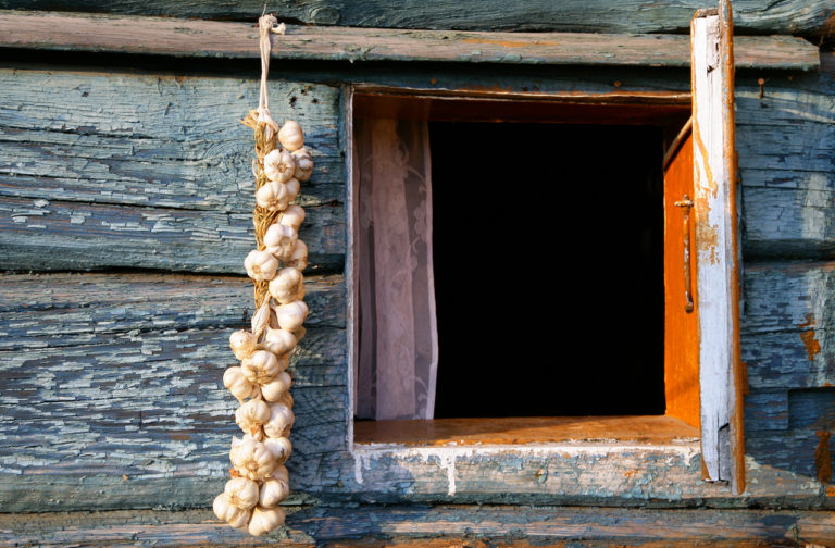 Usi unse cu usturoi la toc si toate canile din casa intoarse cu gura in jos